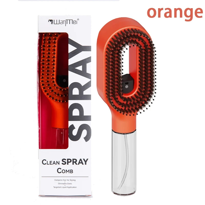 Detangling Water Mist Brush